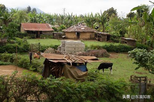 非洲土地广袤，为什么那里的人不种地，他们吃什么？插图21