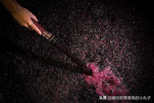 葡萄酒的原料，为什么红酒原料是葡萄汁不是葡萄品种