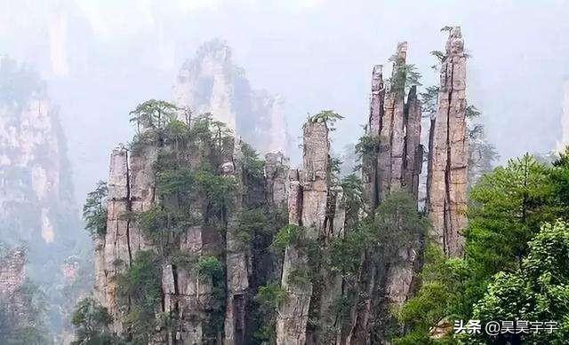 广东省东莞市的观音山森林公园