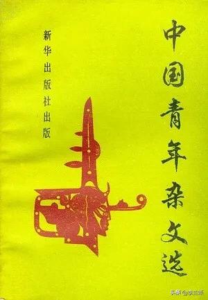 张茜资料:中行原油宝事件，可以详细解释一下吗