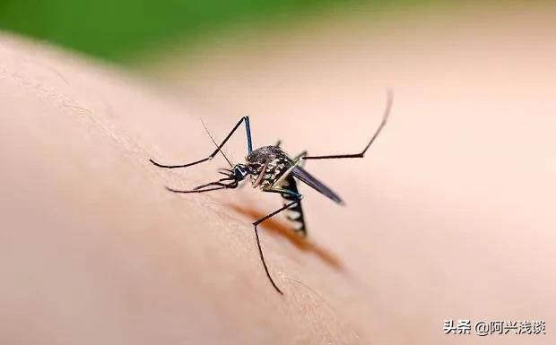 家住别墅是什么样的感觉？插图95