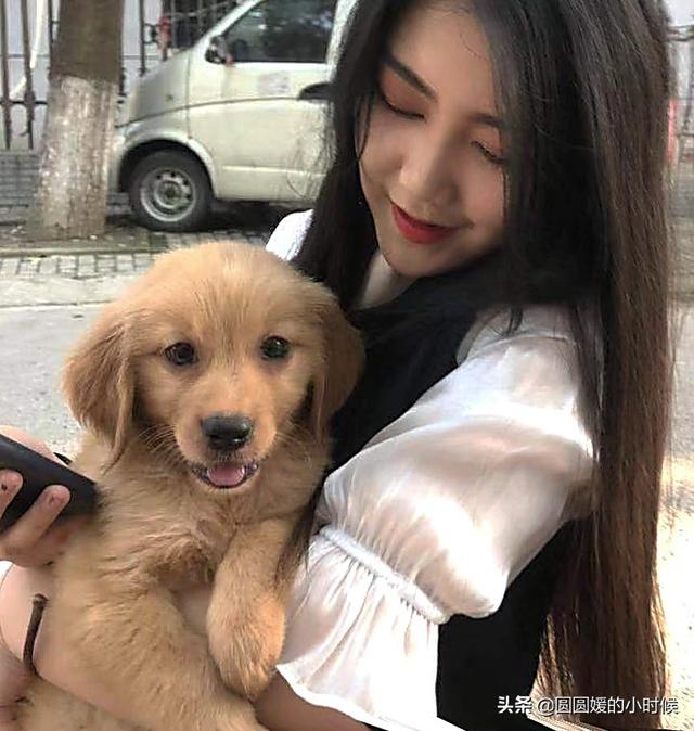 金毛犬性格好不好:我想养一只金毛，需要注意什么，别人告我千万别养，费钱费时间？ 金毛犬的性格