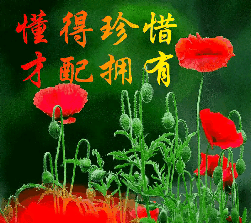 第一天晚上才加的微信,第二天晚上要求见面,见面就想亲我抱我,这样的男的是不是不可信？