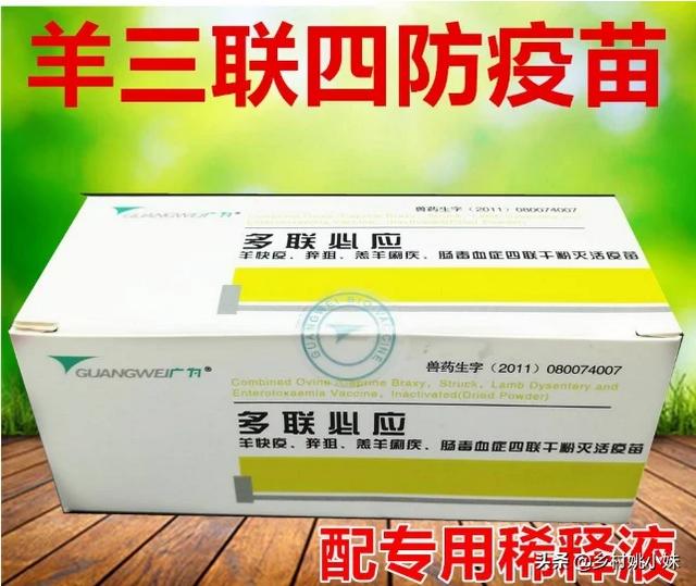羊打针的正确部位图解,农村搞养殖，怎么给动物打针？