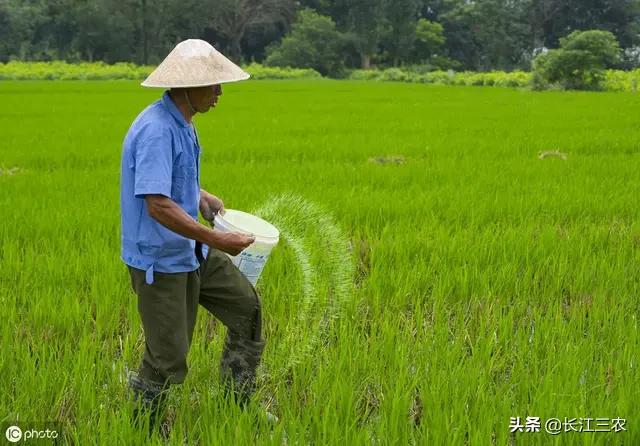 农民当年有偿交售任务粮,现在还可以拿来代替交养老保险吗？