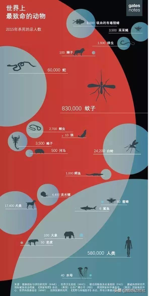 杜兵猎犬袭击身亡:谁说说鬣狗伤人都有哪些案例？