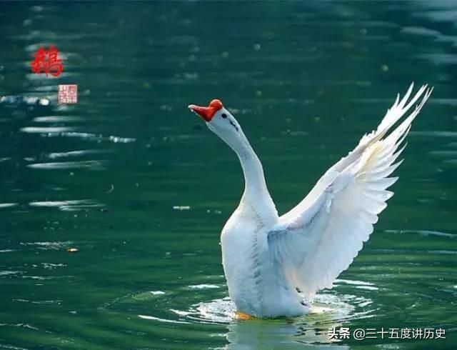 历史上最著名的一首诗？