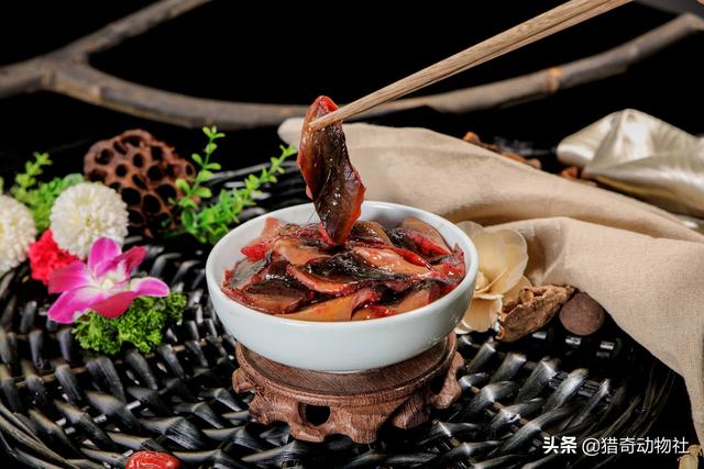 翻车鱼 月亮鱼:“望月鳝”这种剧毒物，现实中到底存在吗？ 翻车鱼月亮鱼的区别