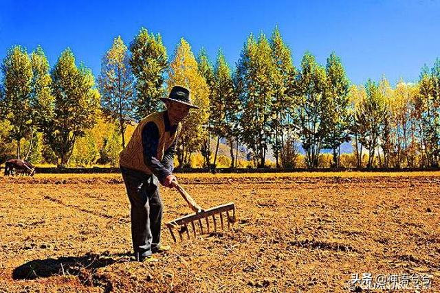 在家可以做什么赚钱，闲在家很无聊，有什么可以赚钱的途径？