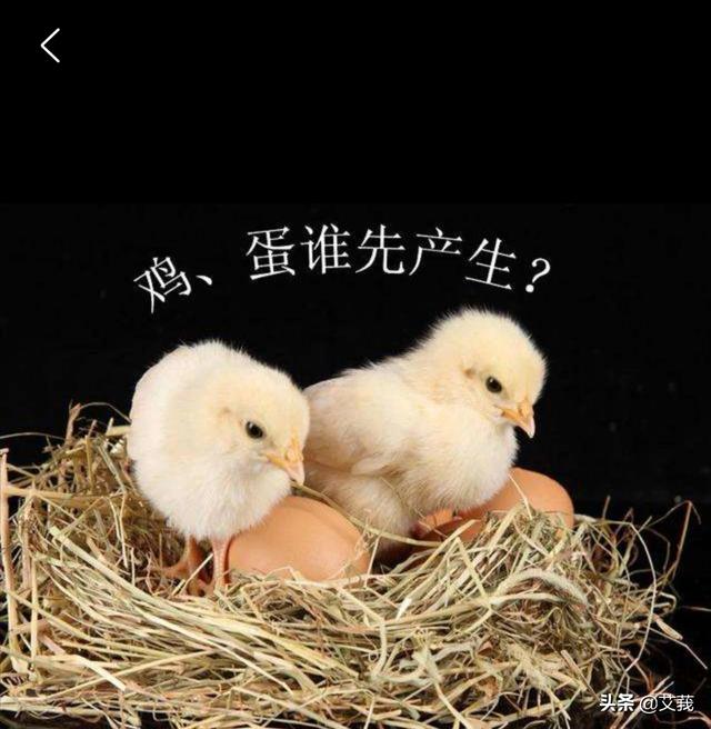经典谜题，母鸡下蛋，是先有的鸡，还是先有的蛋