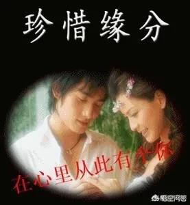 谁上过柳岩:你看到过哪些奇葩的神回复