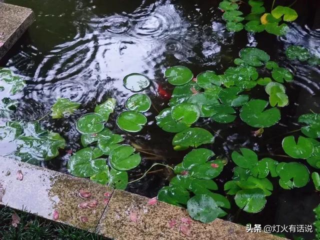 家住别墅是什么样的感觉？插图68