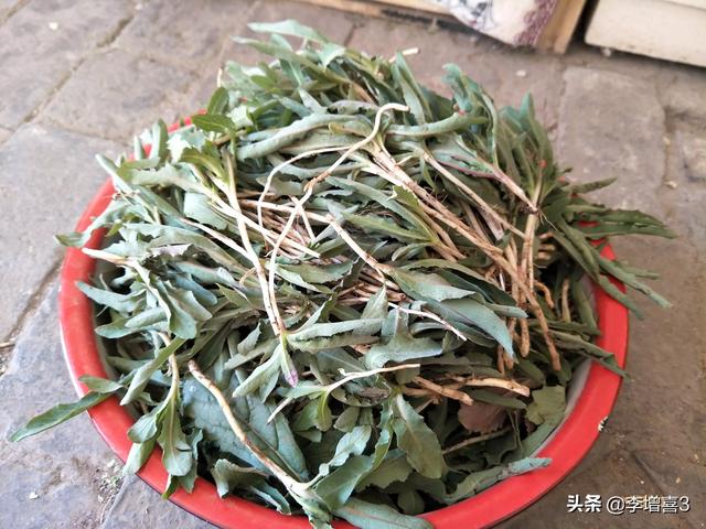 头条问答 你小时候吃过哪些野菜 229个回答