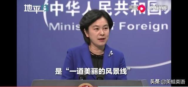 人狗双胞胎萌照网络爆红:伊朗外长火了！这张回敬美国的P图，为何受到如此追捧？