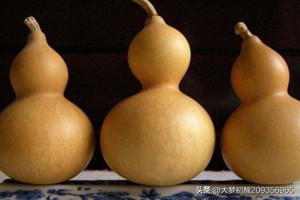 盘葫芦,什么时候盘葫芦的最佳季节？