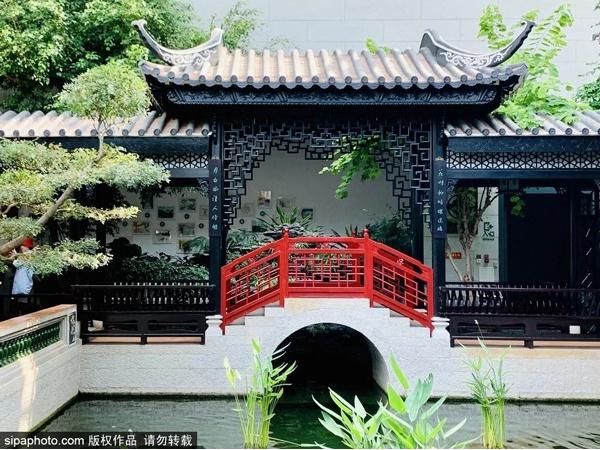 林兰芷:一千多种岩茶挑花了眼，初尝岩茶应该如何选择
