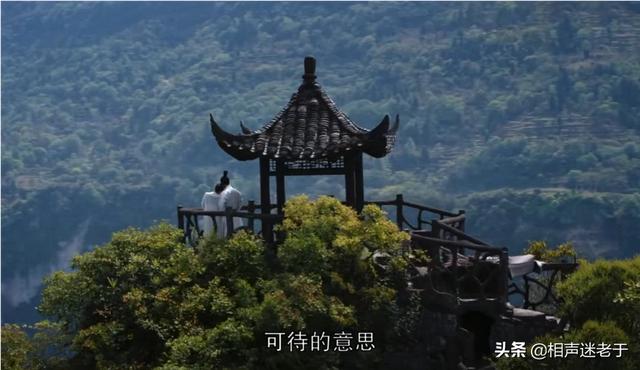 鹤唳华亭剧情介绍:《鹤唳华亭》电视剧谁演的最好，为什么