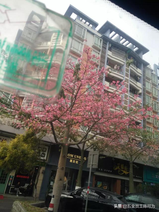 谁能告诉我《庆余年》讲的是什么？