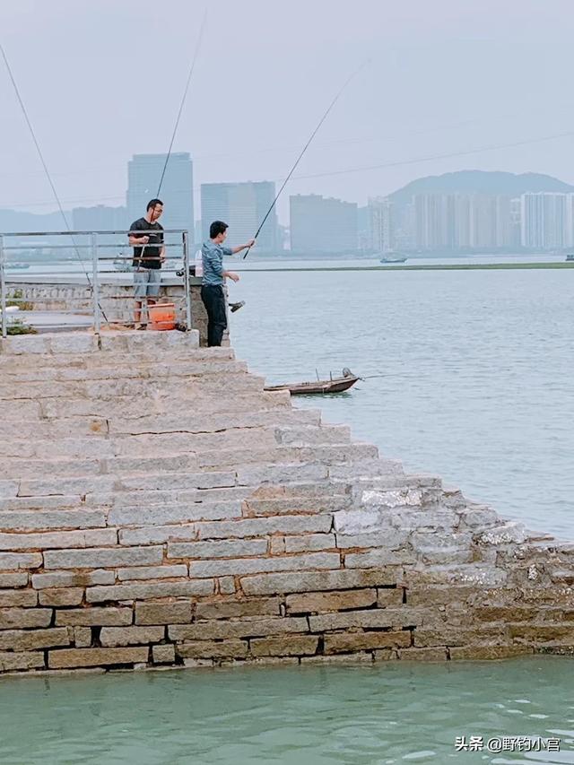 亳州短脚长身梗犬多少钱一只:现在这个温度，用什么饵料能快速钓白条？