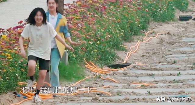 张婧仪和周迅:《向往的生活》张子枫与张婧仪的友谊你觉得美好纯粹吗为什么