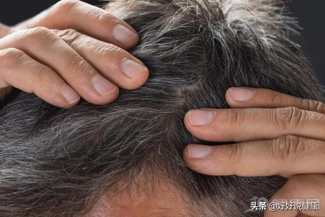 银斑龙猫耳朵变白:肝出问题了，头发会有哪些表现？ 银斑龙猫会越来越白吗
