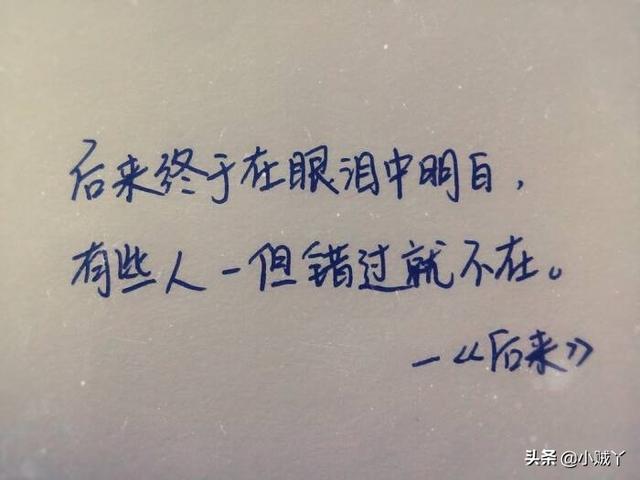 施之皓:施人诚写过哪些词哪句最能打动你