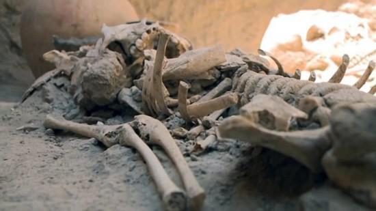 人死亡多久才会尸骨无存?-惠修网