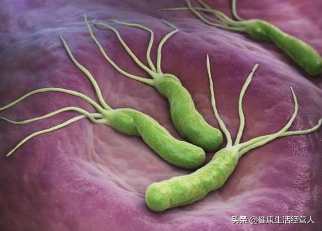 胃病的“天敌”已发现,每天坚持吃,或能有效抑制“幽门螺杆菌”,胃病的天敌是谁？