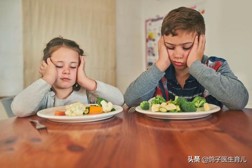 狗粮制作机器设备家用:办个小型的狗粮加工厂需要哪些设备？