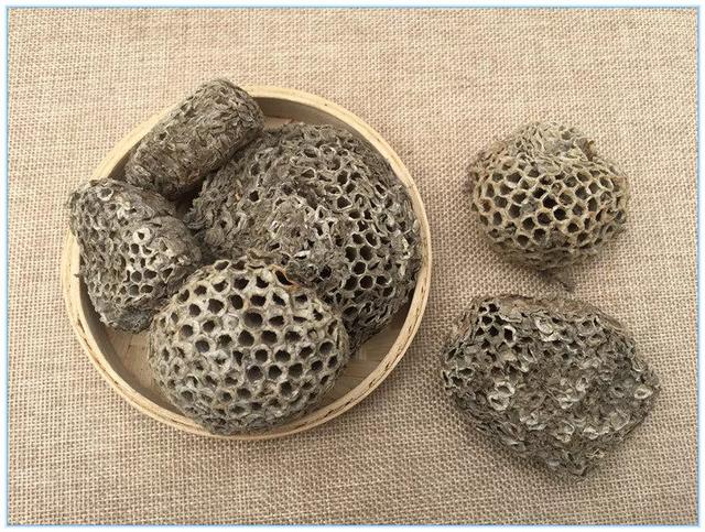 足部蜂窝组织炎的治疗:马蜂窝的药用价值有哪些？