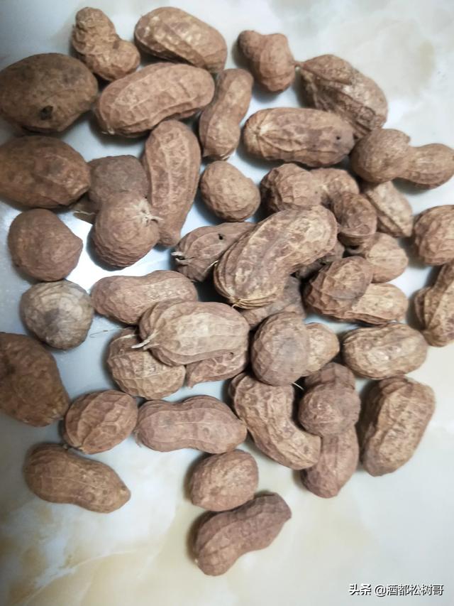 宠物殡葬需要投资多少钱:宠物殡葬多少钱 在农村做什么不需要太多的本钱？利润还不错？