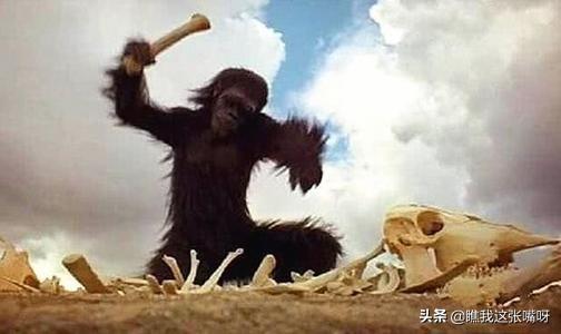 人类起源:讲述人类起源的电影有哪些推荐