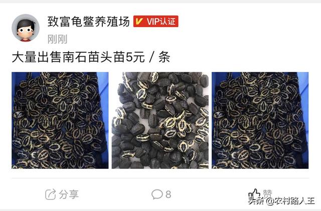 农村有空房,在家没事做想做小项目做什么好,请指导？