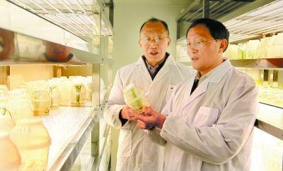 赵咏华:袁隆平院士生前带有多少学生有成就的学生有哪些