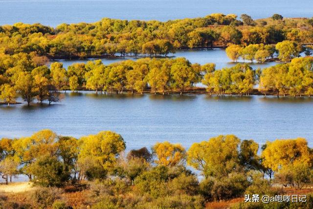 头条问答 - 十月一去白城市,那时候的向海湿地风景如何?(4个回答)