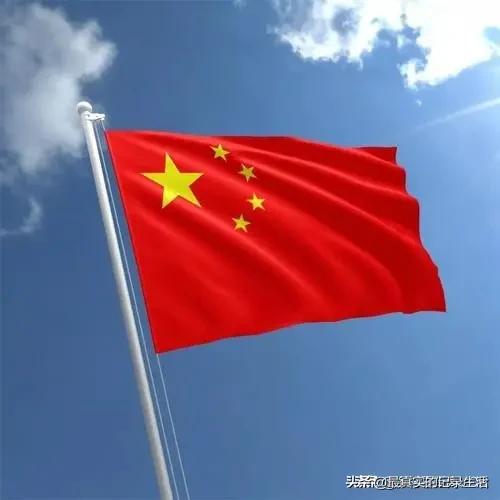 怎么看上海最高一套八千万,戴口罩排队抢豪宅的打起来了？
