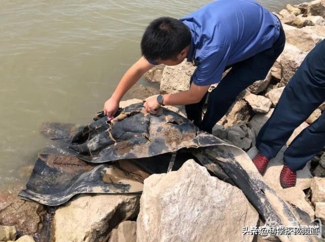 水怪十大灵异事件:百慕大三角州，到底发生过什么奇异事件？为什么觉得奇异？