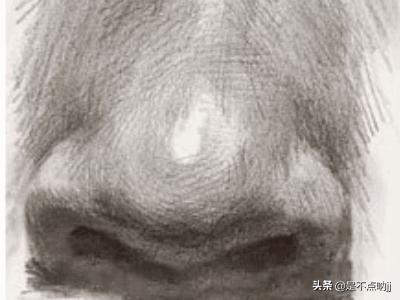 鼻子怎么画,素描入门教程：怎样画好鼻子？