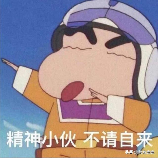 有哪些巨型犬,可以让你出门不害怕？