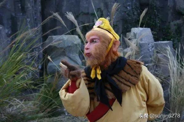 鹰叭犬王大帝多少钱一个:《西游记》中孙悟空为什么被封为斗战胜佛？而不是战斗胜佛？