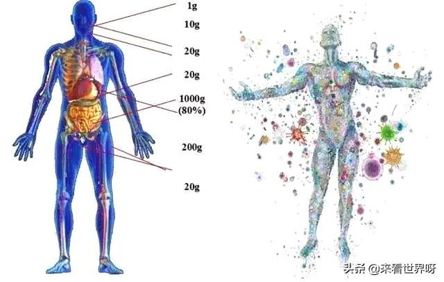 家里收拾太干净不好,家里干净整洁就能说明是勤快能干的女人吗？