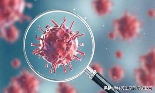 新型冠状病毒与陨石有关吗？为什么？