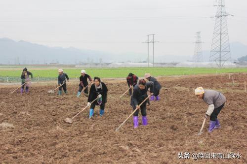 如果经济不景气,你愿意回到农村种地保持基本生活吗？