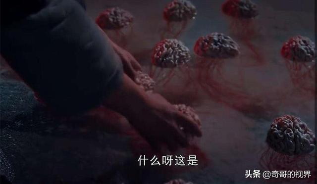 演员李小燕:李卫当官唐国强怎么甘心做配角？
