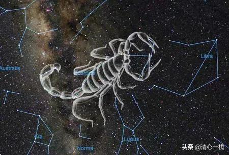 天蝎座的女生，缺点有哪些？