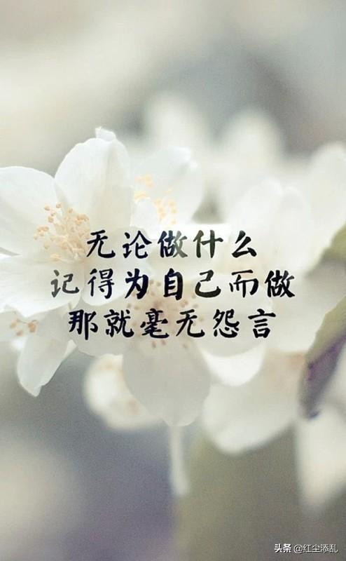 做了重大的决定你是否冲动地做出过人生重大决定