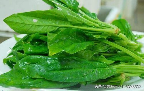 富含蛋白质和氨基酸的蔬菜和水果有哪一些？