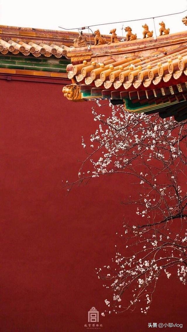 头条问答 - 有故宫壁纸吗?不带水印最好?(3个回答)