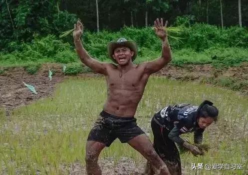 播求和菜良辰的对打视频:播求和善猜两个泰拳王相比谁更强？