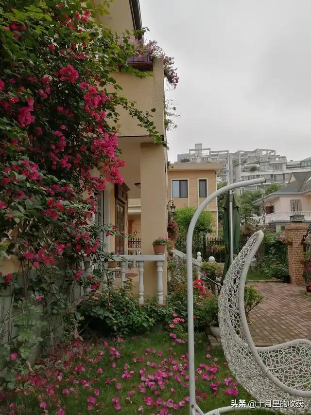 家住别墅是什么样的感觉？插图27